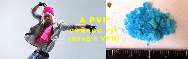 apvp Алексин