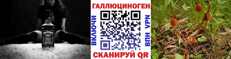 Псилоцибиновые грибы Cubensis Жуковский